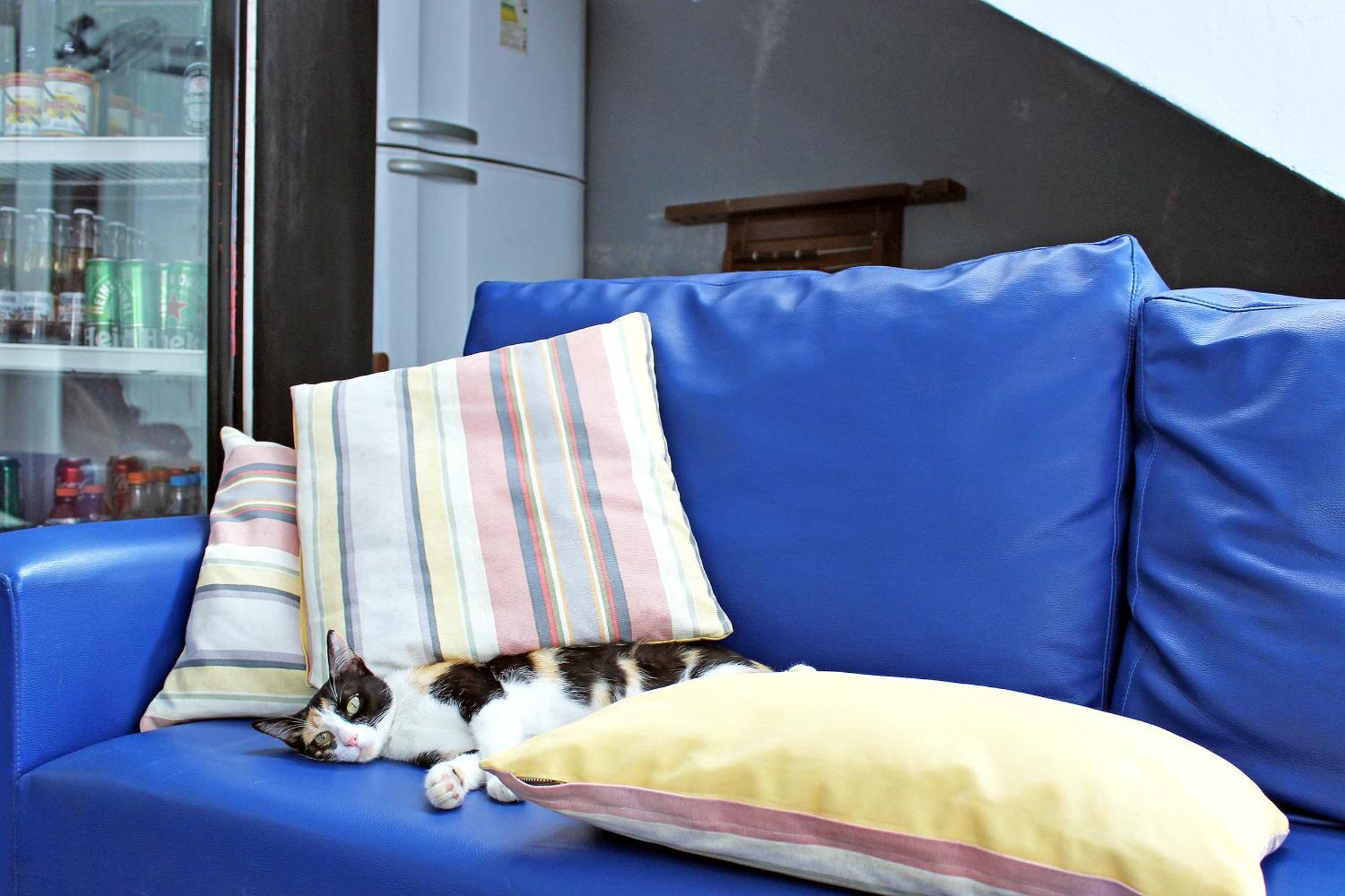 Hostel Mucuge E *